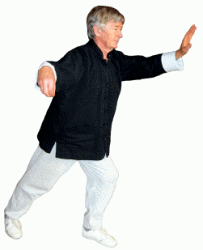 Yang Tai Chi